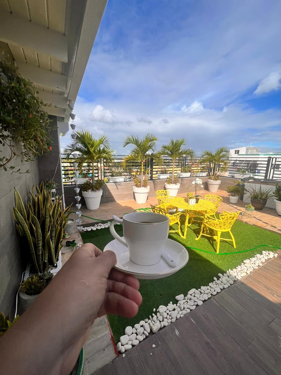 penthouses - Venta de Penthouse en el Ensanche Ozama 3
