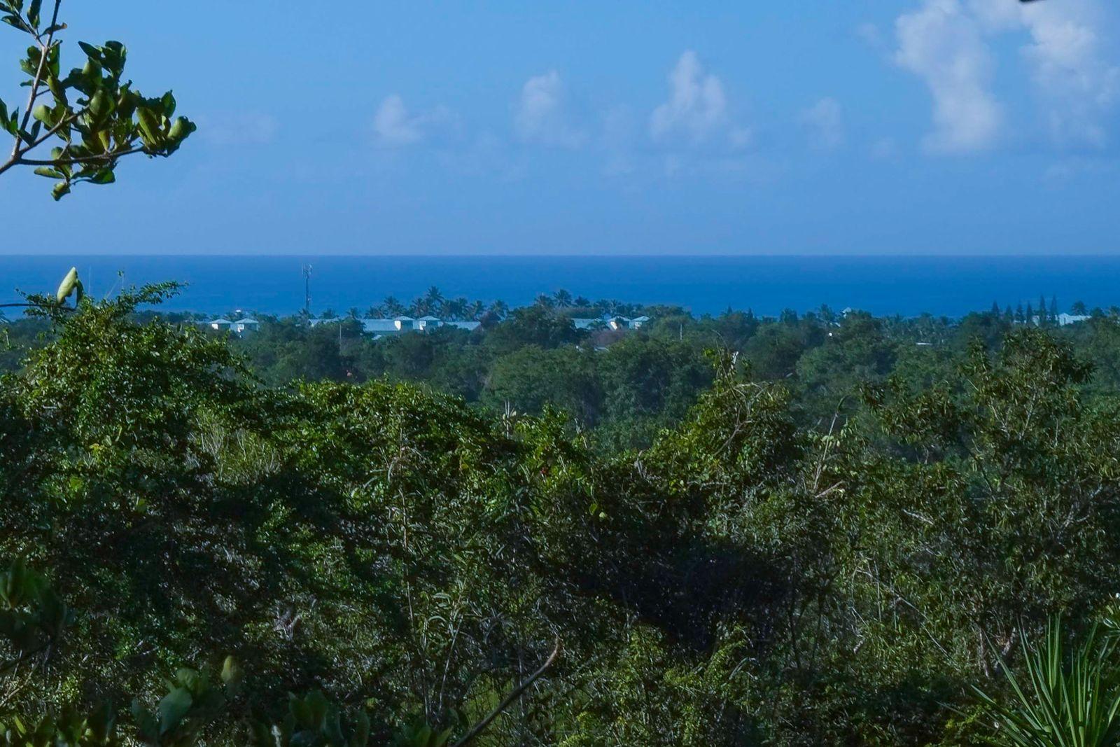 solares y terrenos - VENTA DE TERRENO EN BAHAHIBE - ZONA COSTERA DE REPÚBLICA DOMINICANA 2