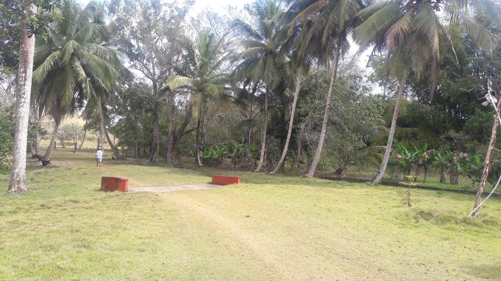 solares y terrenos - FINCA PAPELES AL DÍA EN MONTE PLATA CON ADFALTO Y AGUA PROPIA  6