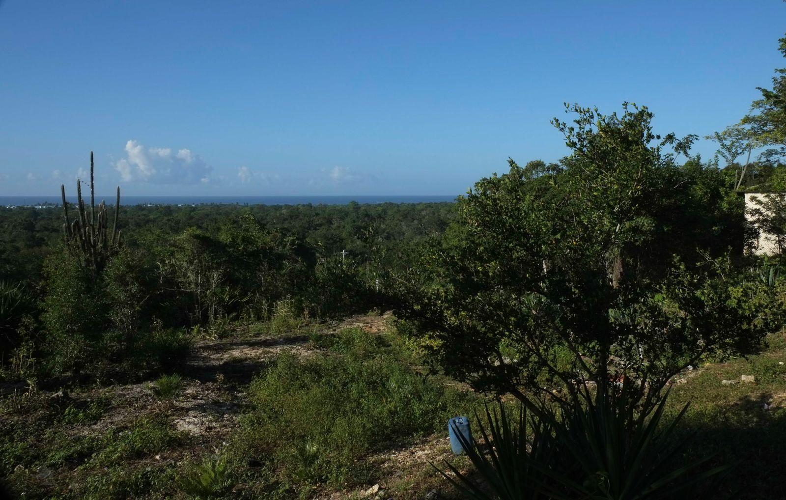 solares y terrenos - VENTA DE TERRENO EN BAHAHIBE - ZONA COSTERA DE REPÚBLICA DOMINICANA 3