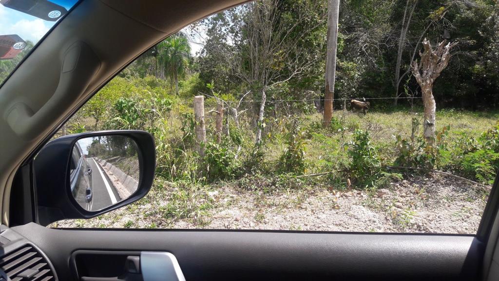 solares y terrenos - FINCA PAPELES AL DÍA EN MONTE PLATA CON ADFALTO Y AGUA PROPIA  7