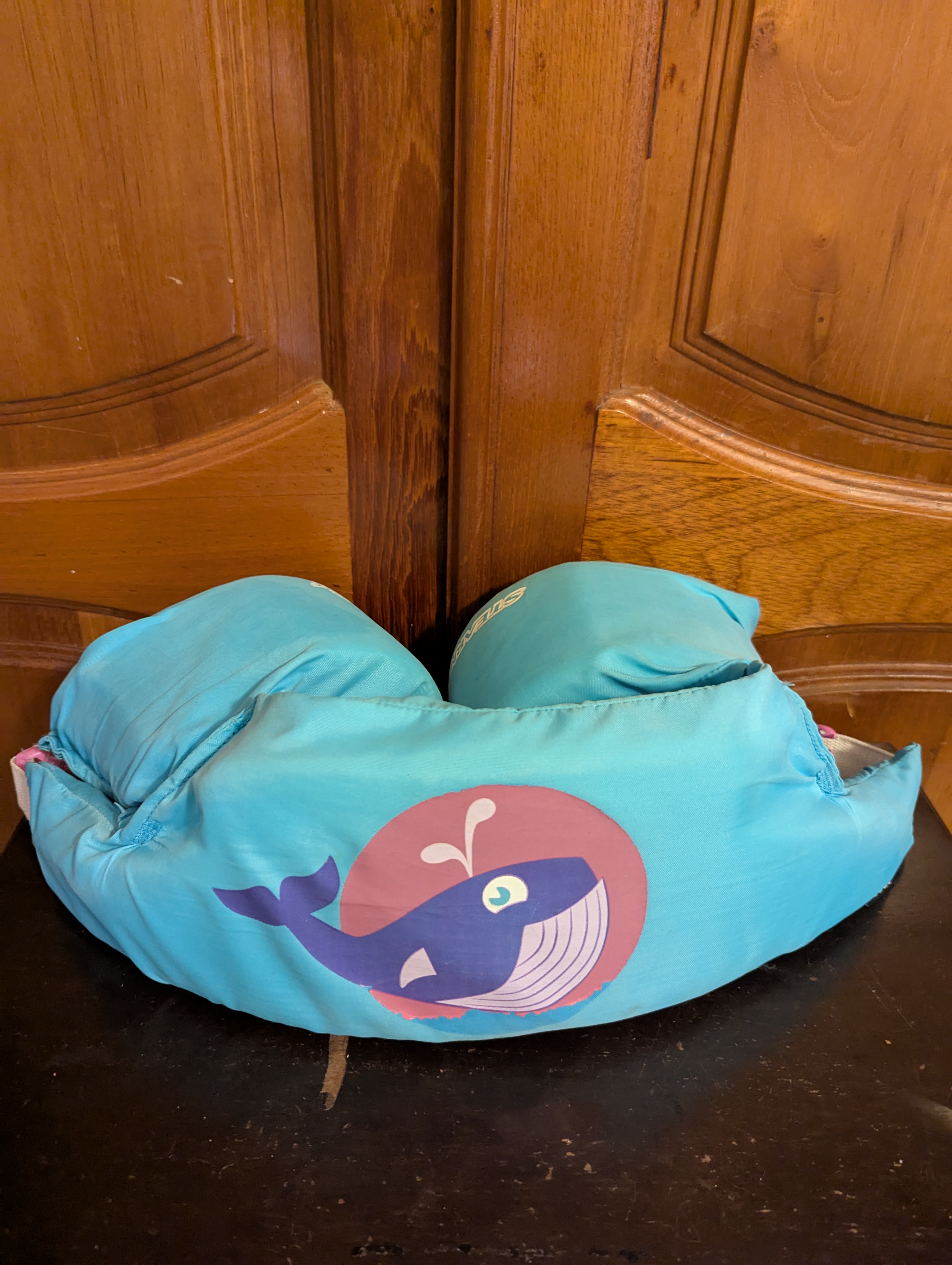 accesorios - Chaleco y Chapaletos niños usados en venta 1