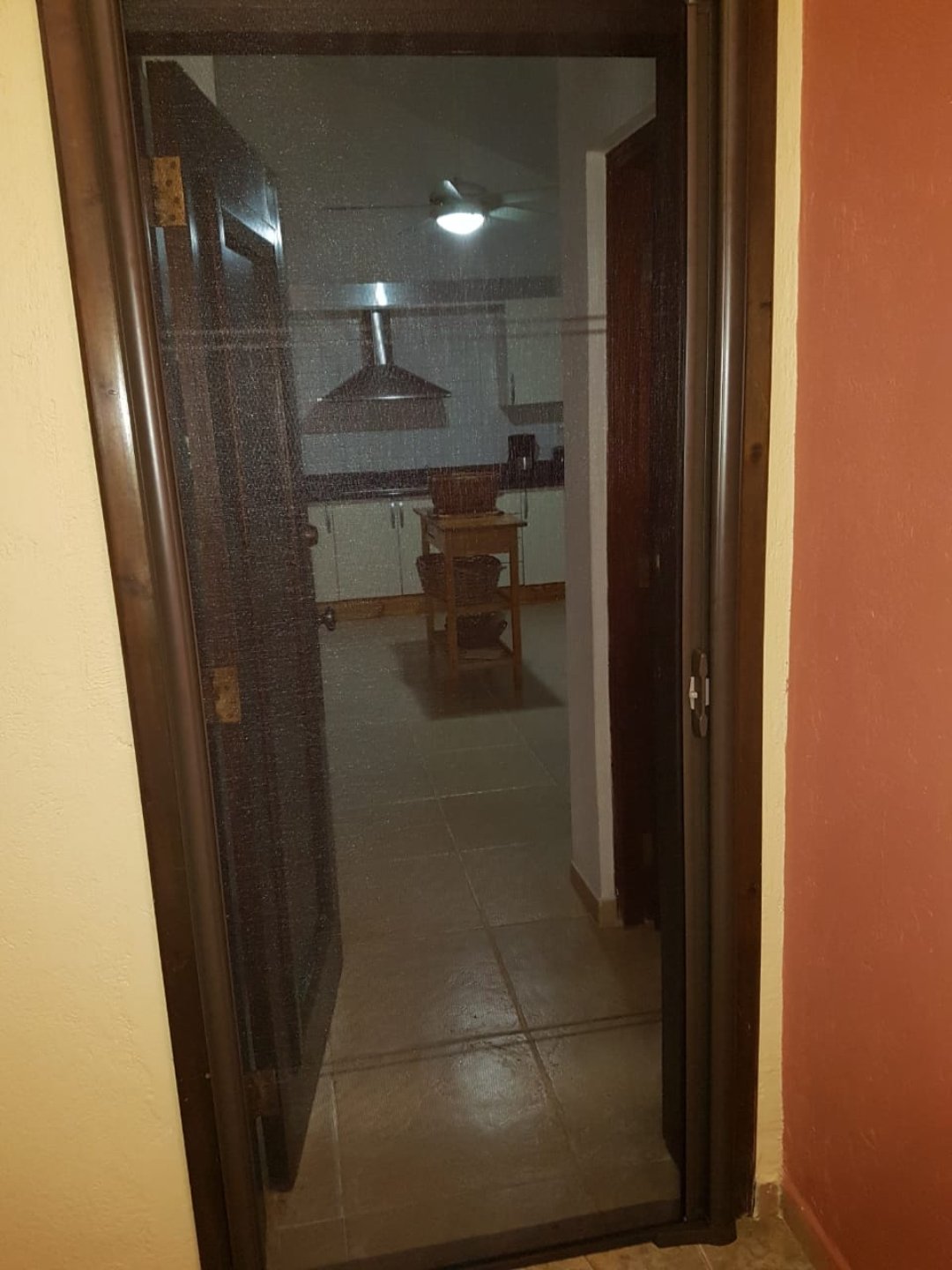 servicios profesionales - Protegerse de los Insectos con Elegancia y Comodidad