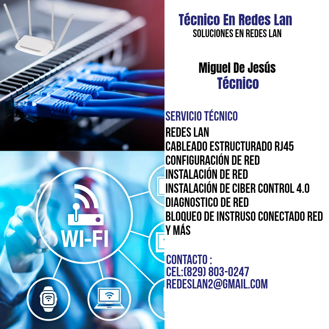 servicios profesionales - Técnico en Redes Lan  1
