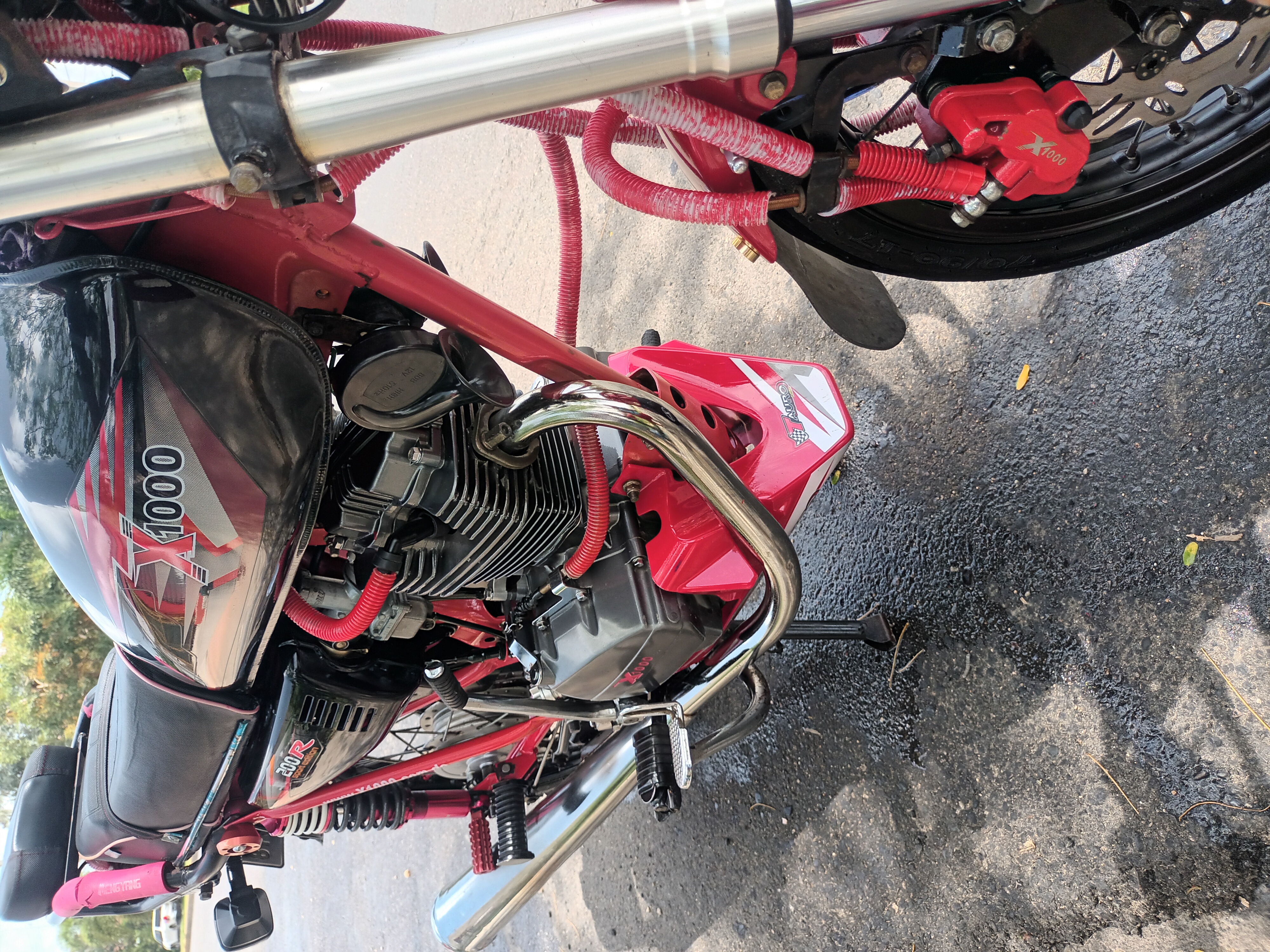 motores y pasolas - CG-250 X1000 año 2021 1