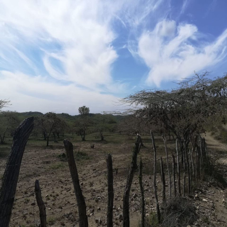solares y terrenos - TERRENO EN MONTE CRISTI 0