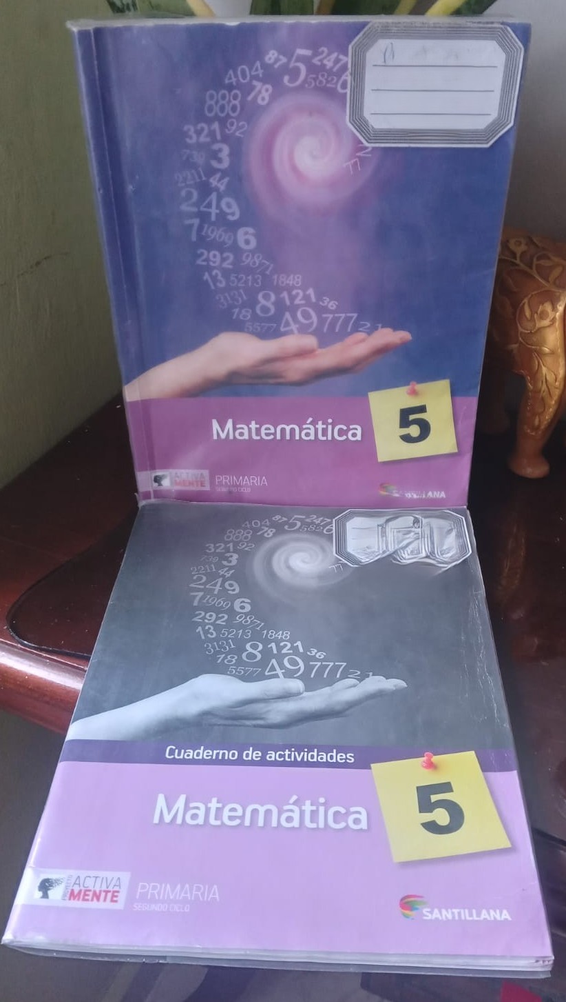 libros y revistas - LIBROS 5TO PRIMARIA SANTILLANA ACTIVAMENTE 0