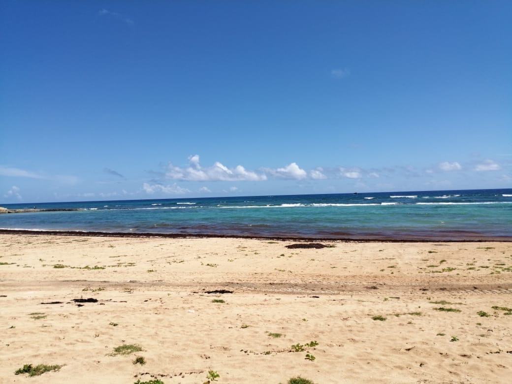 otros inmuebles - venta de Playa en Uvero Alto  1