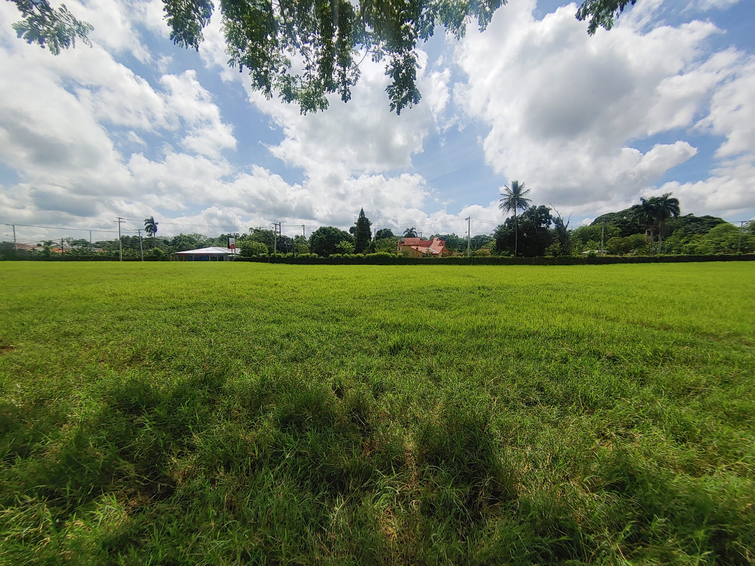 solares y terrenos - Terreno comercial en venta en San Francisco de Macorís Macoris
