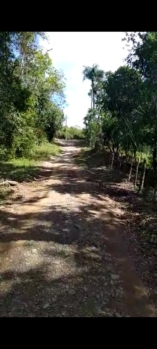 solares y terrenos - Pedro Brand 20,000 mt2  en la Isabela semi llano,cercado con agua y electricidad 0