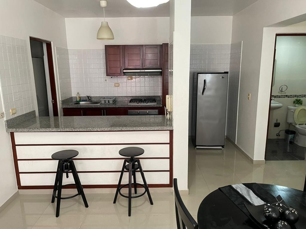 apartamentos - Alquiler Apartamento Amueblado de 1 Habitación, Gazcue, Santo Domingo 0