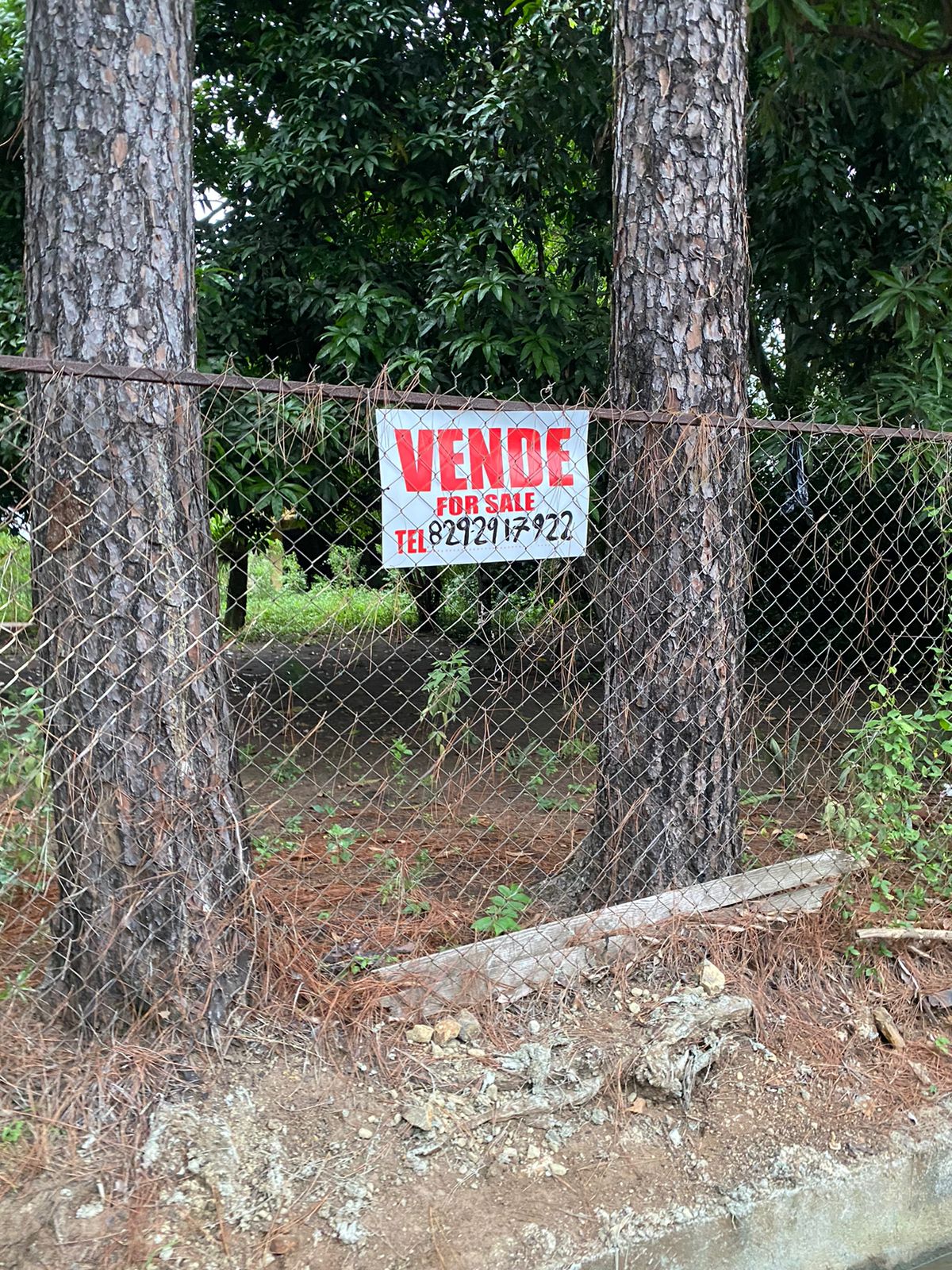 solares y terrenos - Vendo finca en Pedro brand kilómetro 24  2