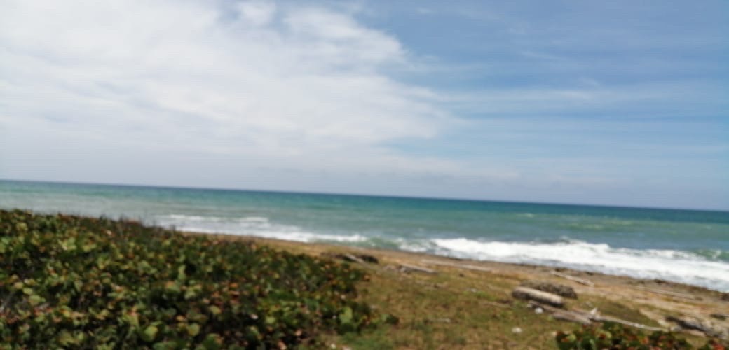 otros inmuebles - venta de Playa en Uvero Alto  3