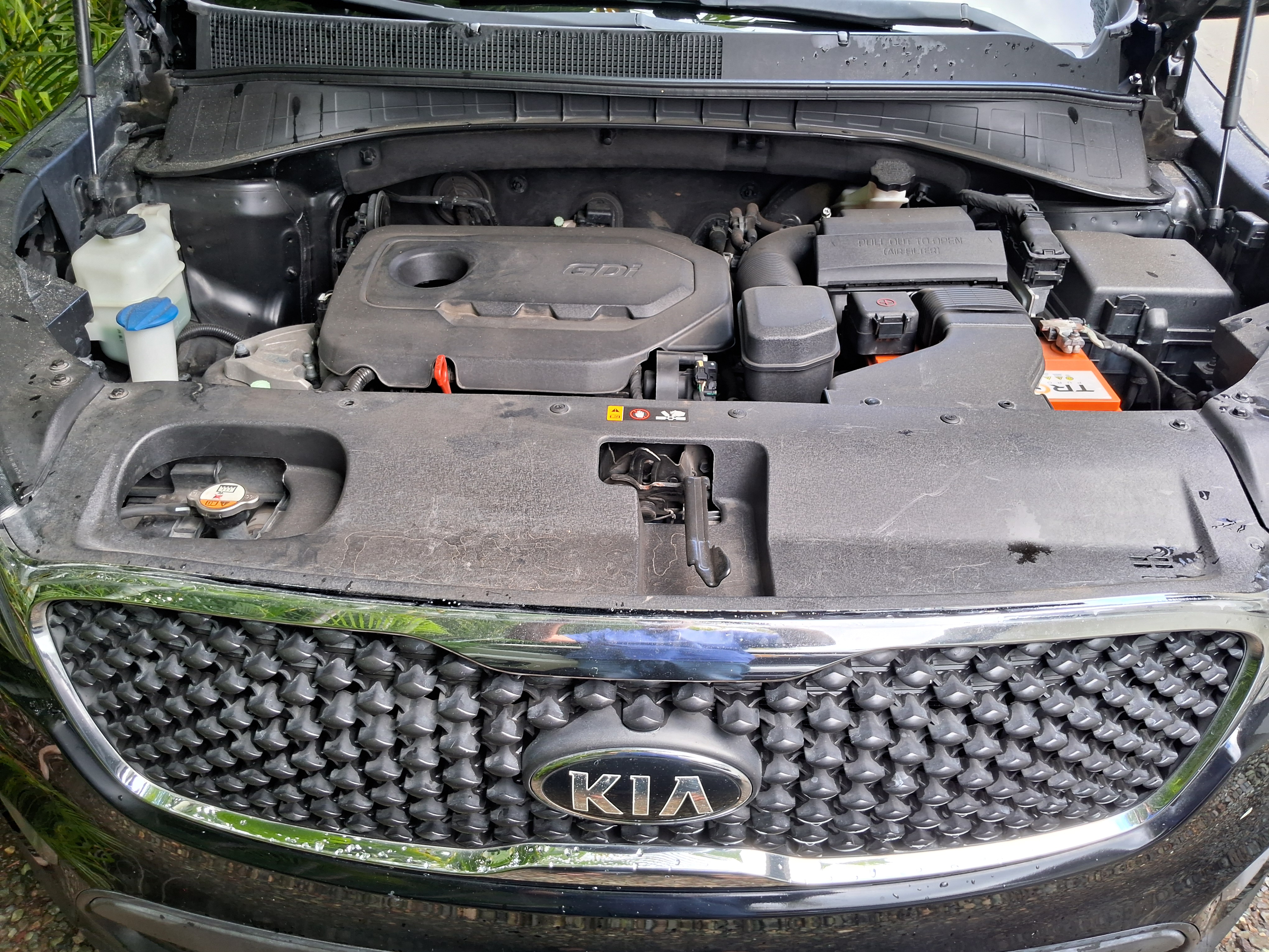 jeepetas y camionetas - Kia Sorento 2017 Nueva en Santiago Villa Olga.  3