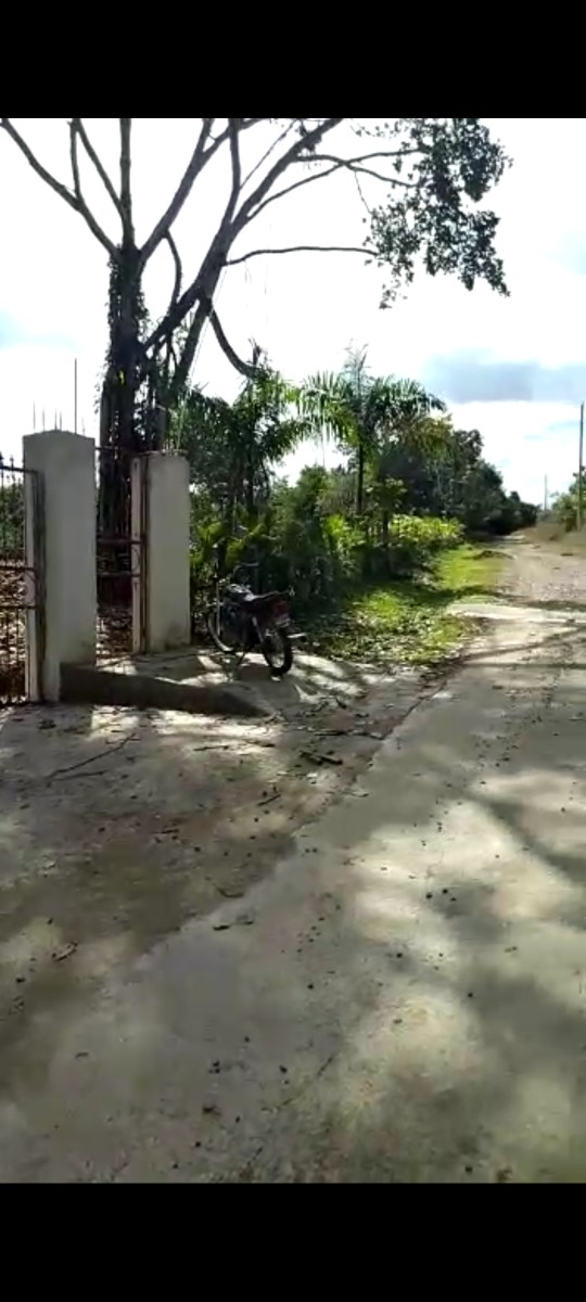 solares y terrenos - Pedro Brand 20,000 mt2  en la Isabela semi llano,cercado con agua y electricidad 1
