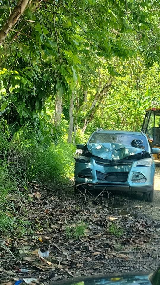 jeepetas y camionetas - FORD ESCAPE ACCIDENTADA. LEER DESCRIPCIÓN