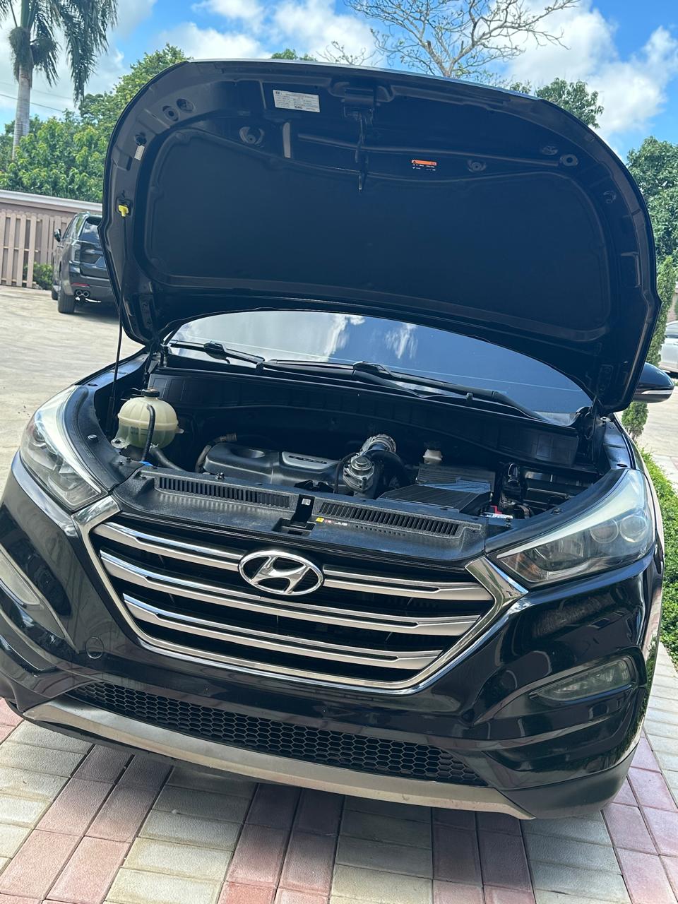 jeepetas y camionetas - jeepeta hyundai en buenas condiciones  9