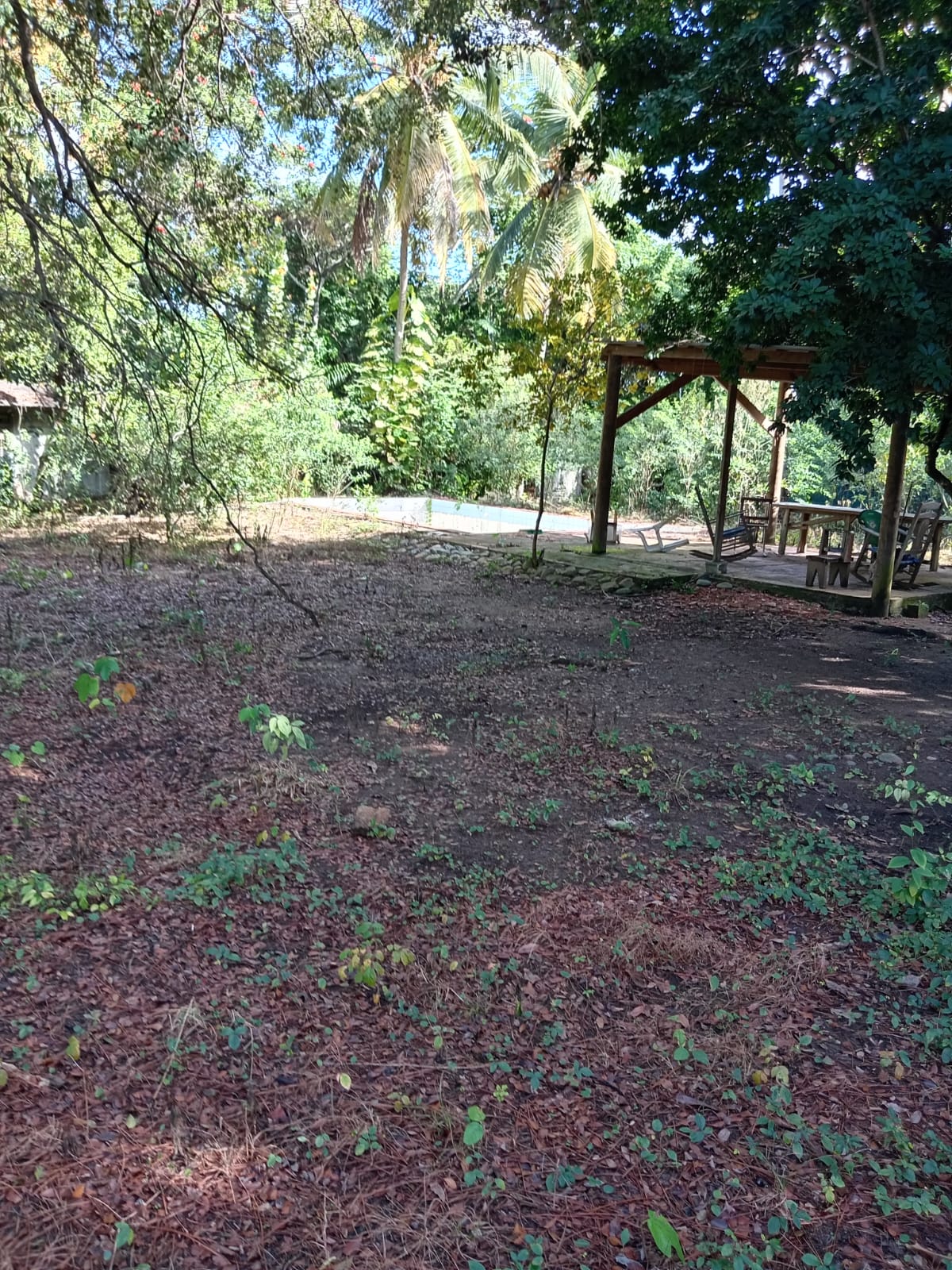solares y terrenos - Vendo finca en Pedro brand kilómetro 24  3