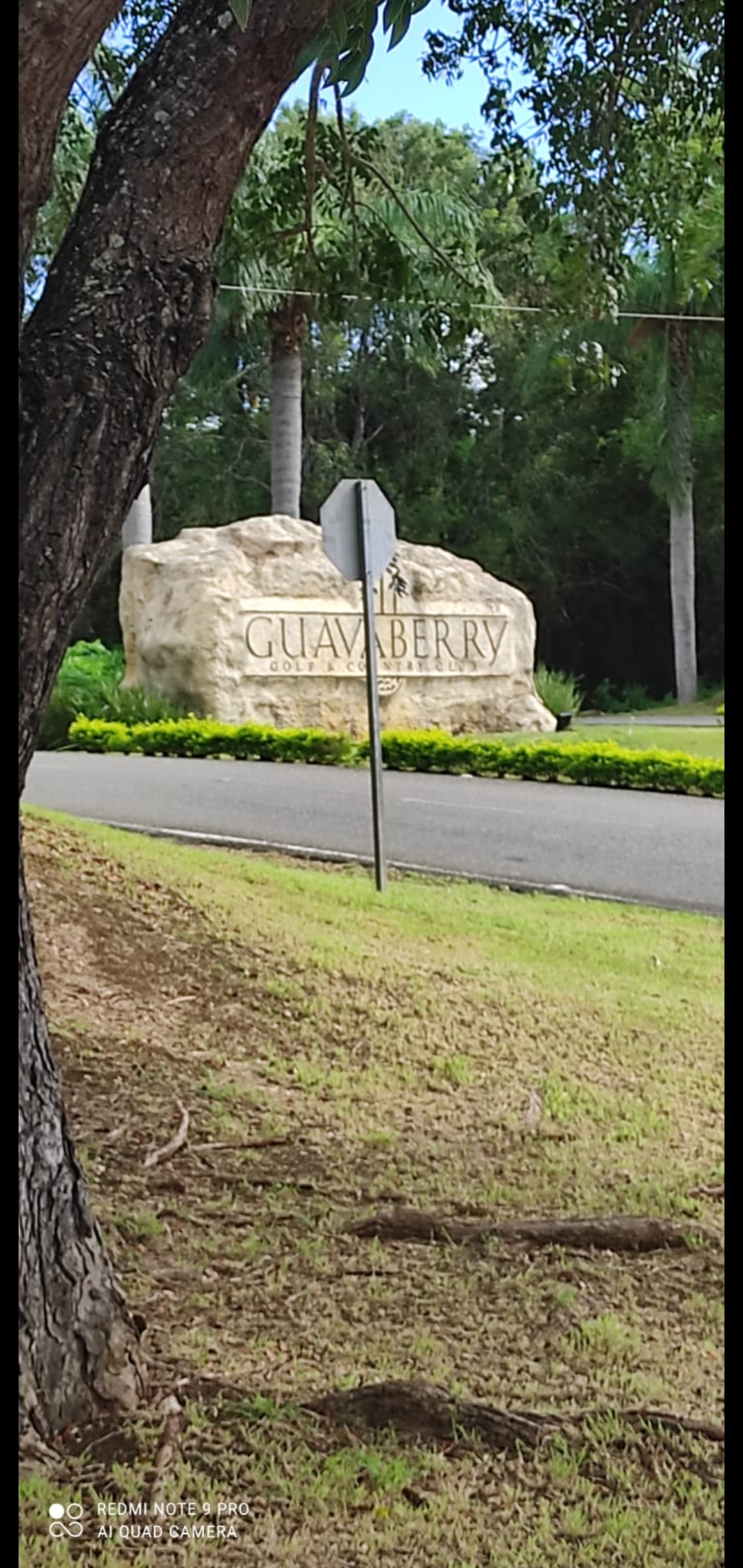 solares y terrenos - terreno de 4,214.85 Mt2 guavaberry country club  0