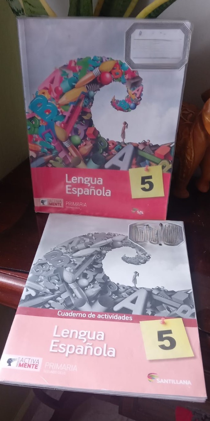 libros y revistas - LIBROS 5TO PRIMARIA SANTILLANA ACTIVAMENTE 3