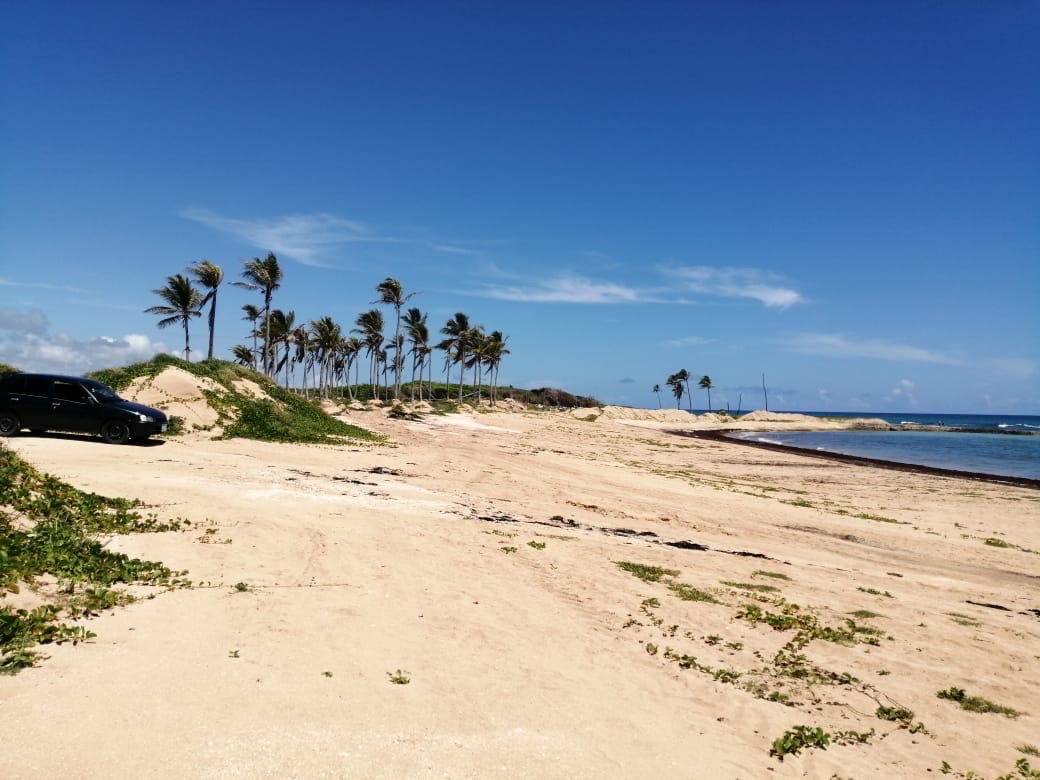 otros inmuebles - venta de Playa en Uvero Alto  4