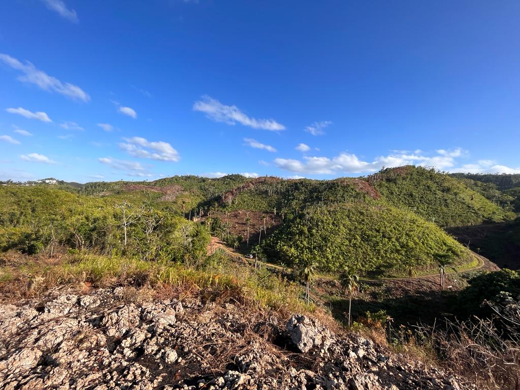 solares y terrenos - Proyecto Exclusivo en Las Terrenas, Samaná 🏡 1