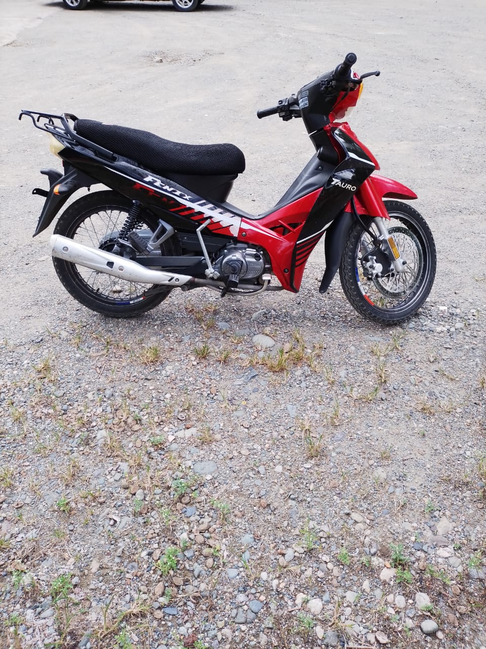 motores y pasolas - Motor Fenix Tauro 110 0