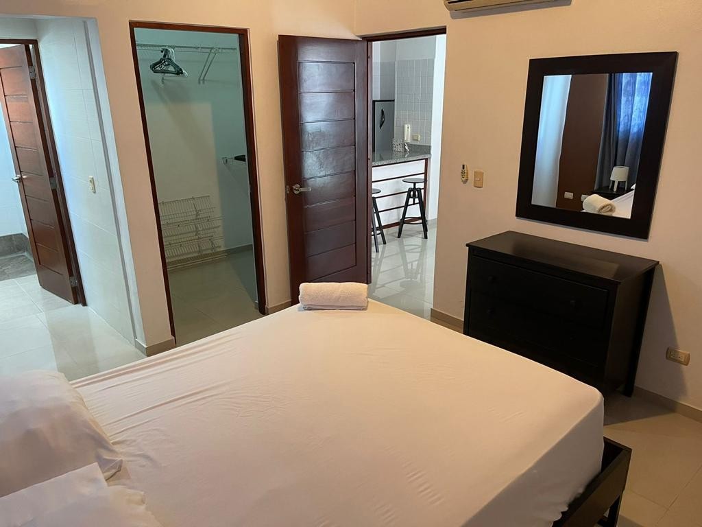 apartamentos - Alquiler Apartamento Amueblado de 1 Habitación, Gazcue, Santo Domingo 6