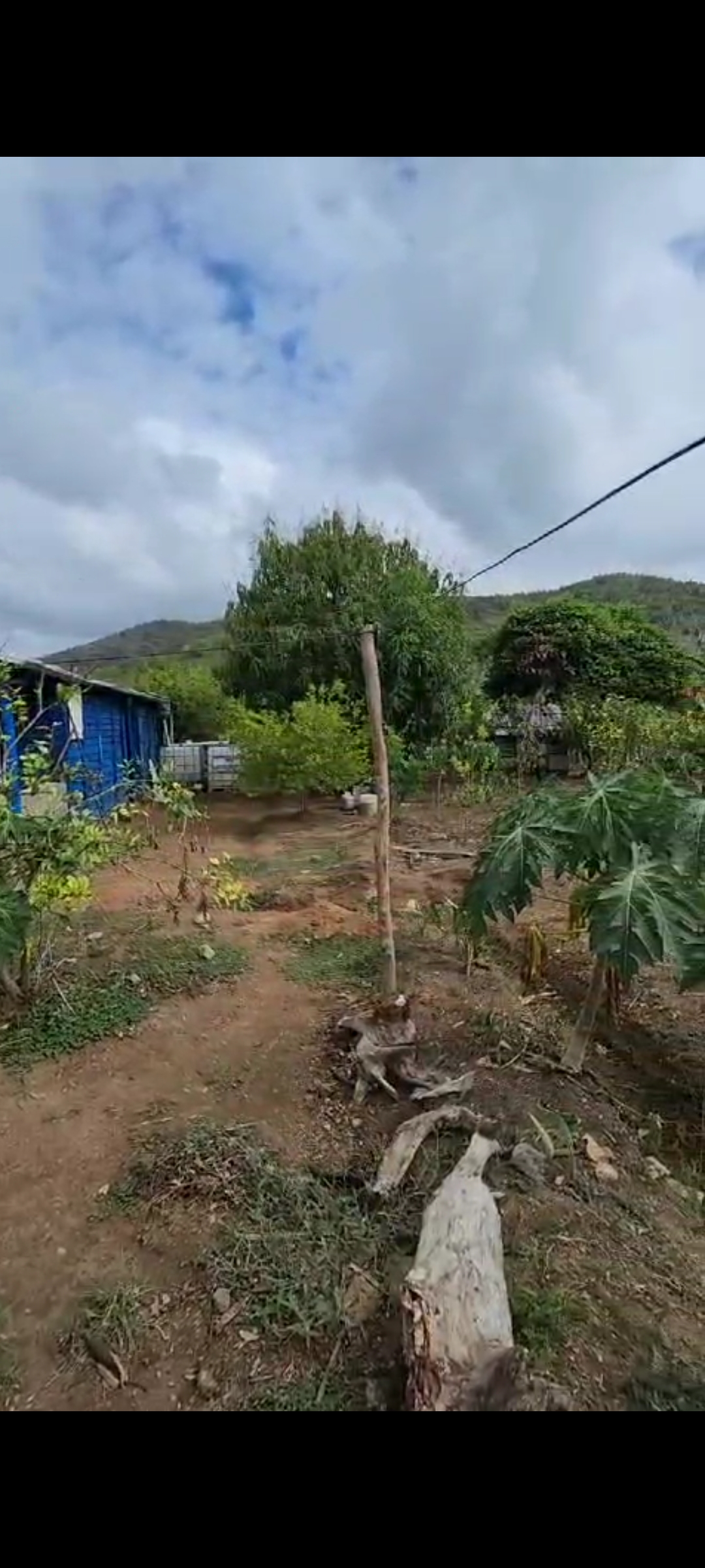 solares y terrenos - Vendo terreno con 15 tareas de tierra Con su Título. 1