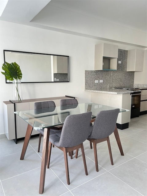 apartamentos - Alquiler / Renta Apartamento de 1 Hab. La Esperilla Amueblado US$1,200.00 4