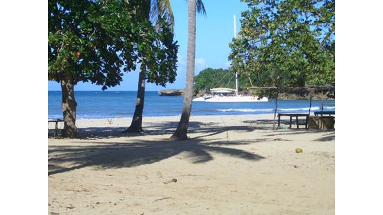solares y terrenos - Venta de Terreno 1a Linea de Playa - Puerto Plata 2