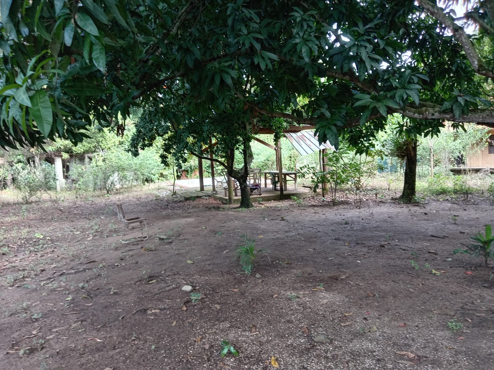 solares y terrenos - Vendo finca en Pedro brand kilómetro 24  4