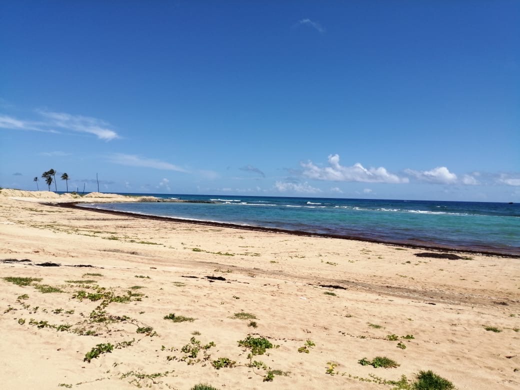 otros inmuebles - venta de Playa en Uvero Alto  6
