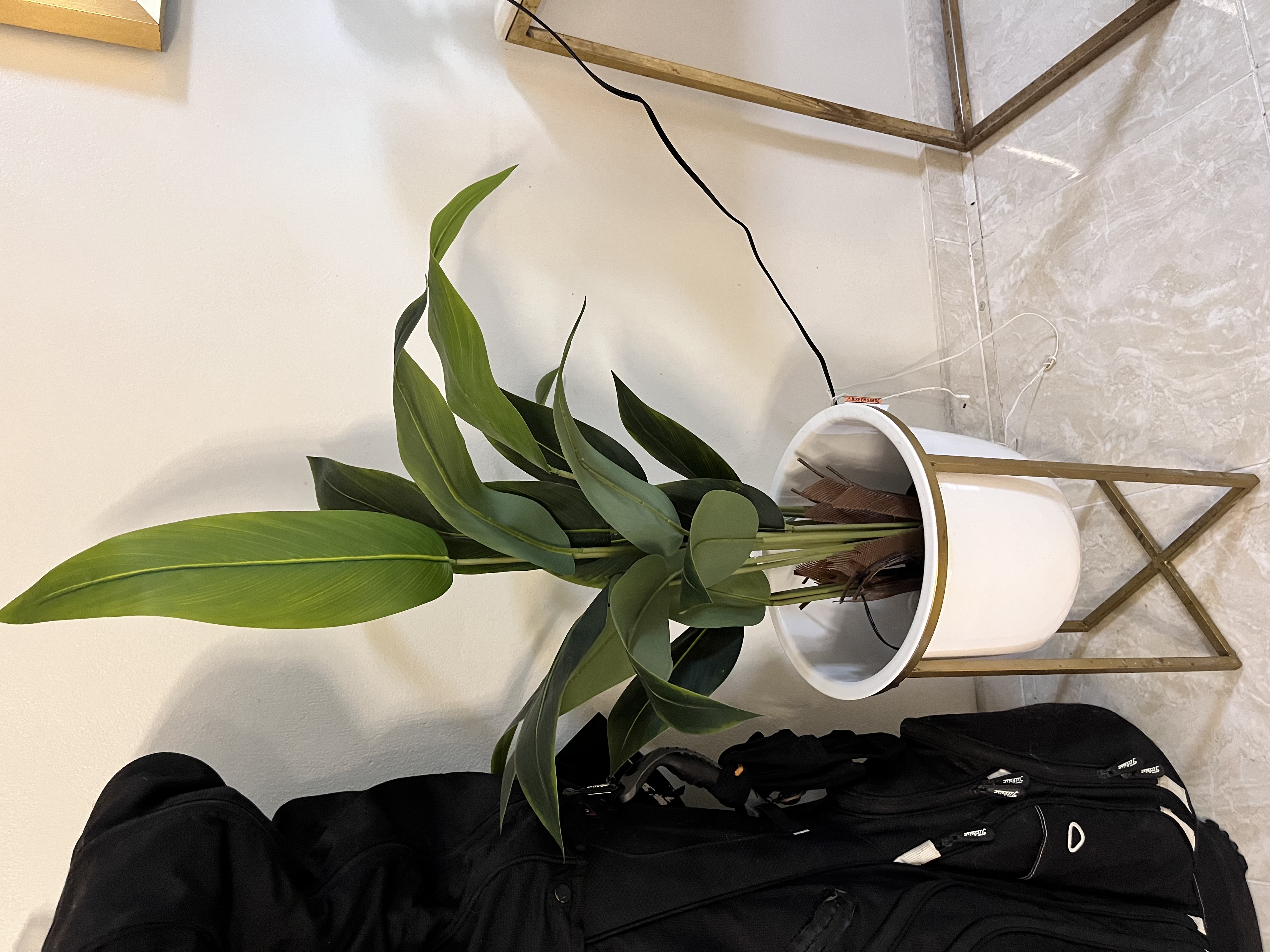 decoración y accesorios - Mesas de centro y macetero con mata  0