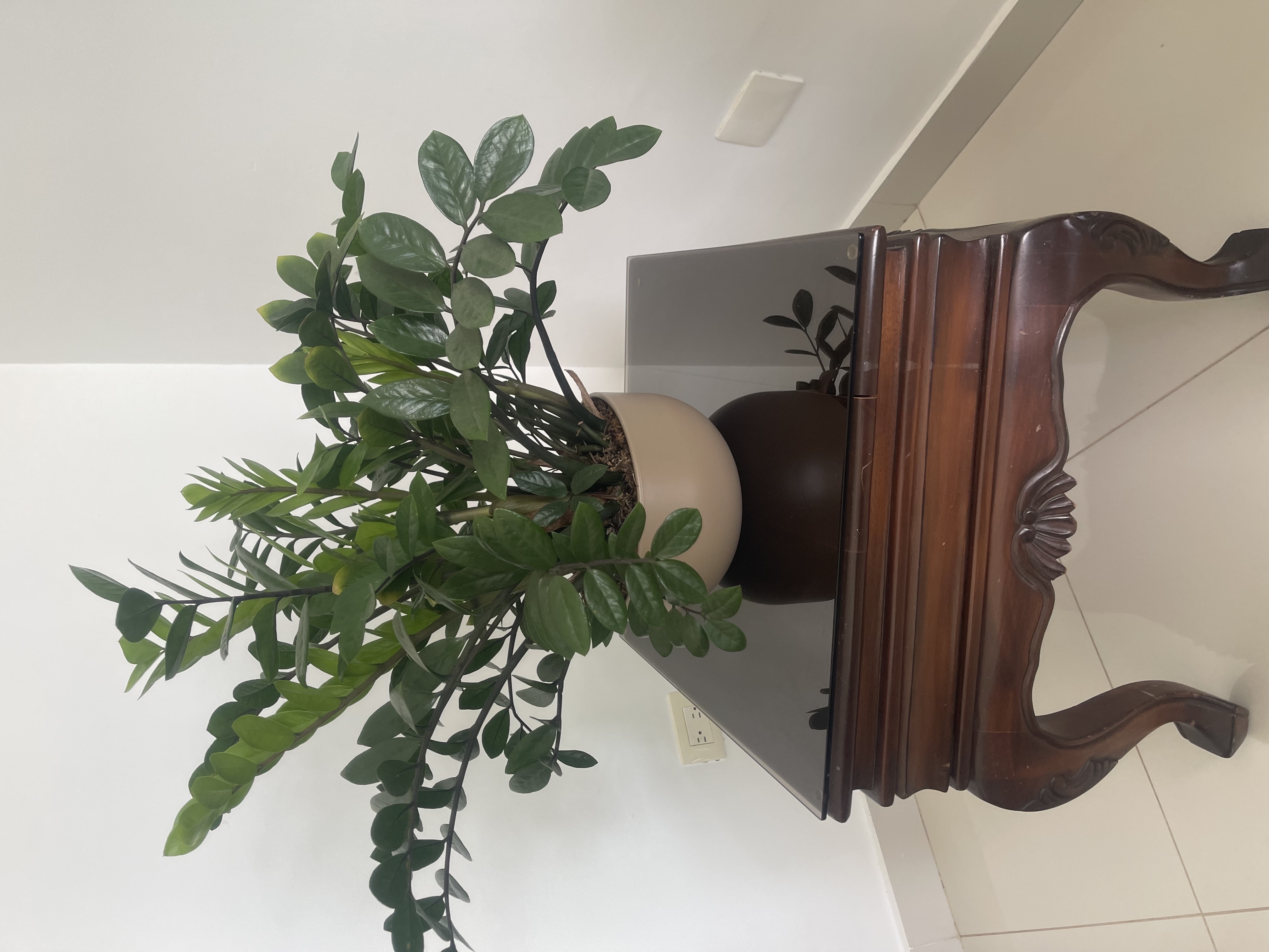 muebles y colchones - Muebles Caoba 5