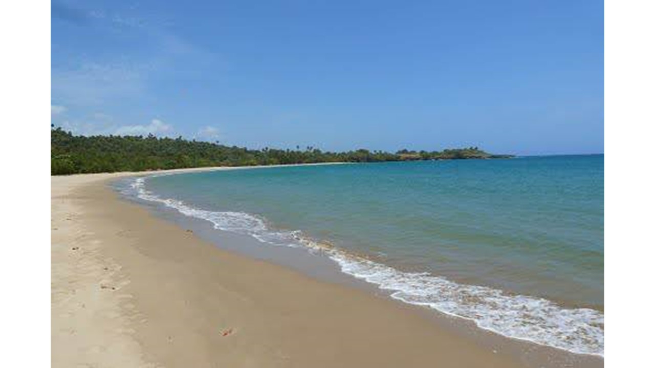 solares y terrenos - Venta de Terreno 1a Linea de Playa - Puerto Plata 0