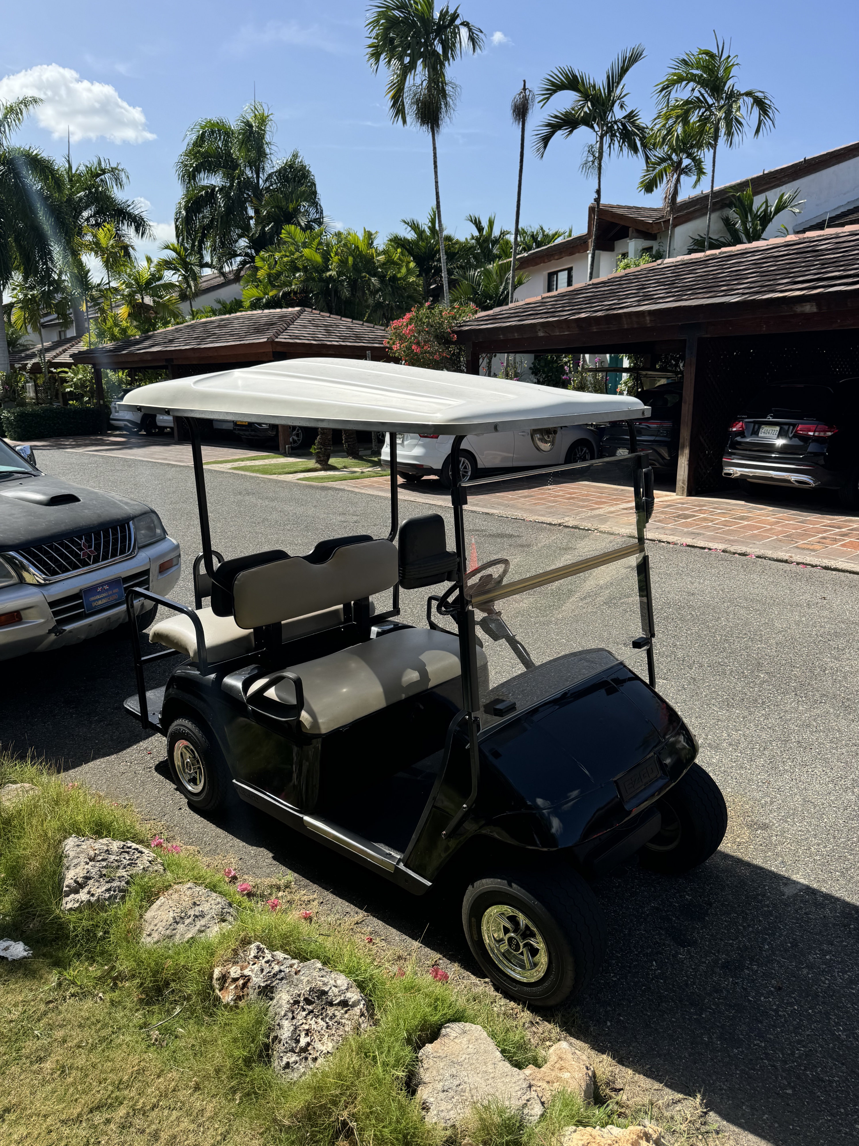 otros vehiculos - Carrito de golf  1