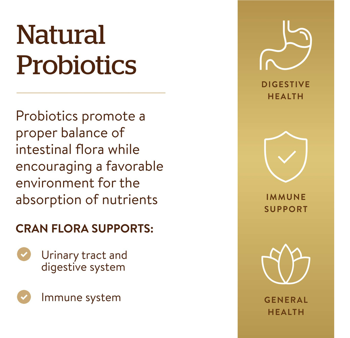 Salud y Equipamiento Médico - Solgar Cran Flora Con Probioticos Plus Ester-c 60 Capsulas 2