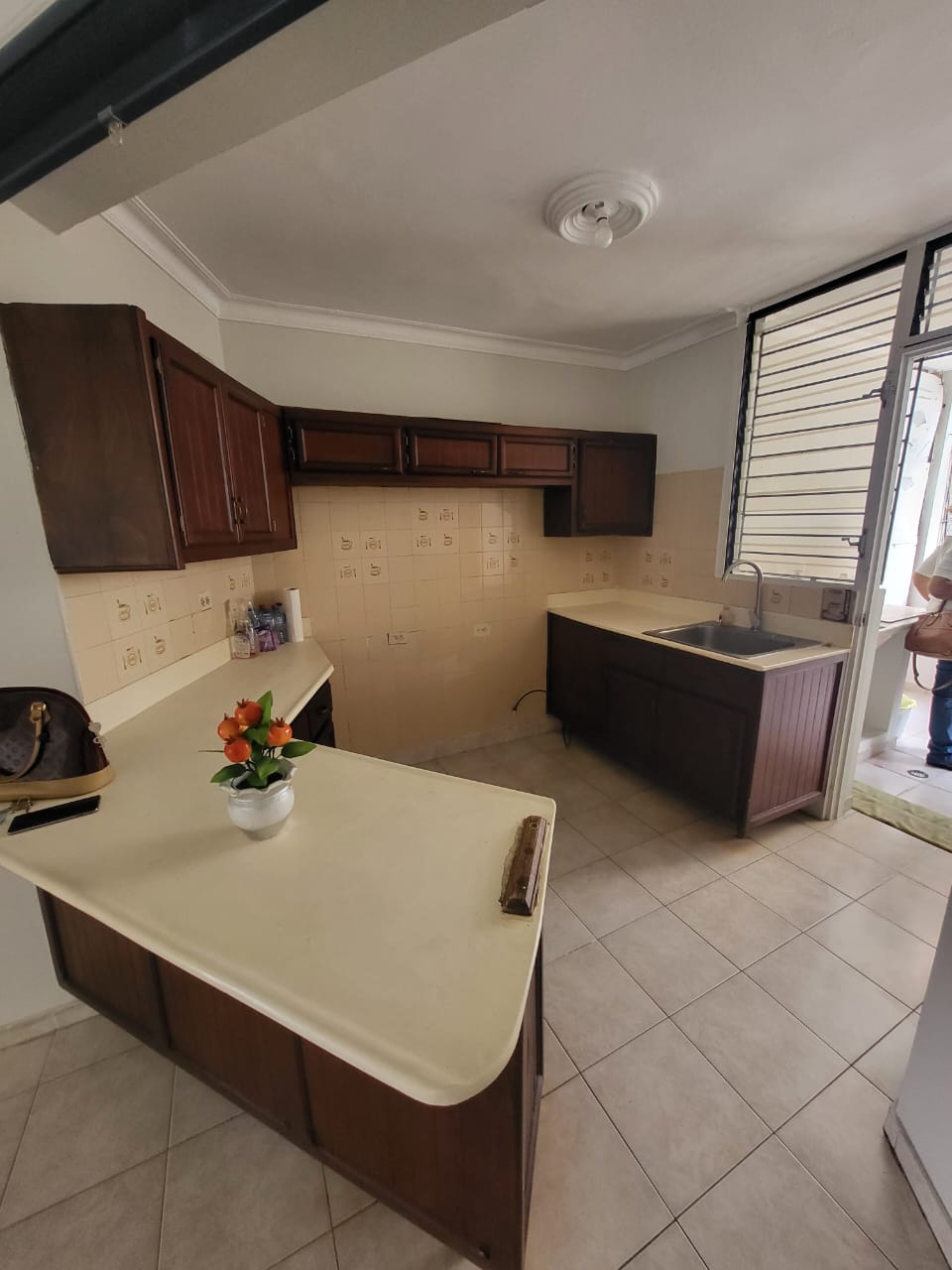 apartamentos - Oportunidad de inversion en Gazcue 6