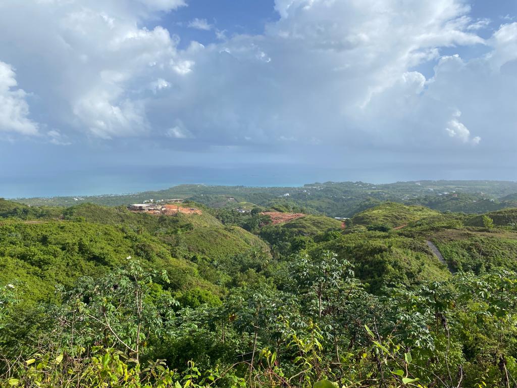 solares y terrenos - Proyecto Exclusivo en Las Terrenas, Samaná 🏡