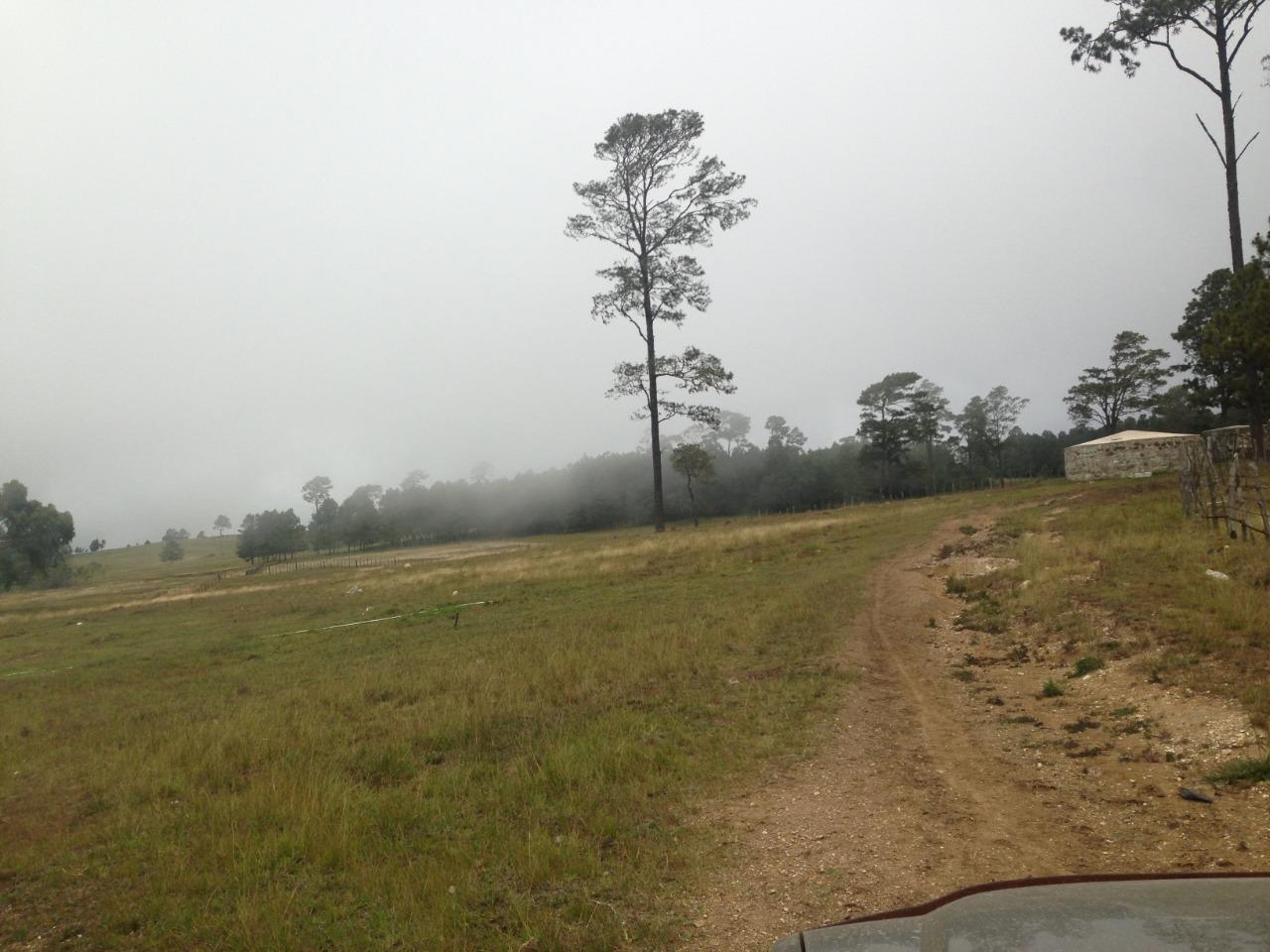 solares y terrenos - Vendo Terreno en Azua Con título y Deslindado, 1,840,070.65 5