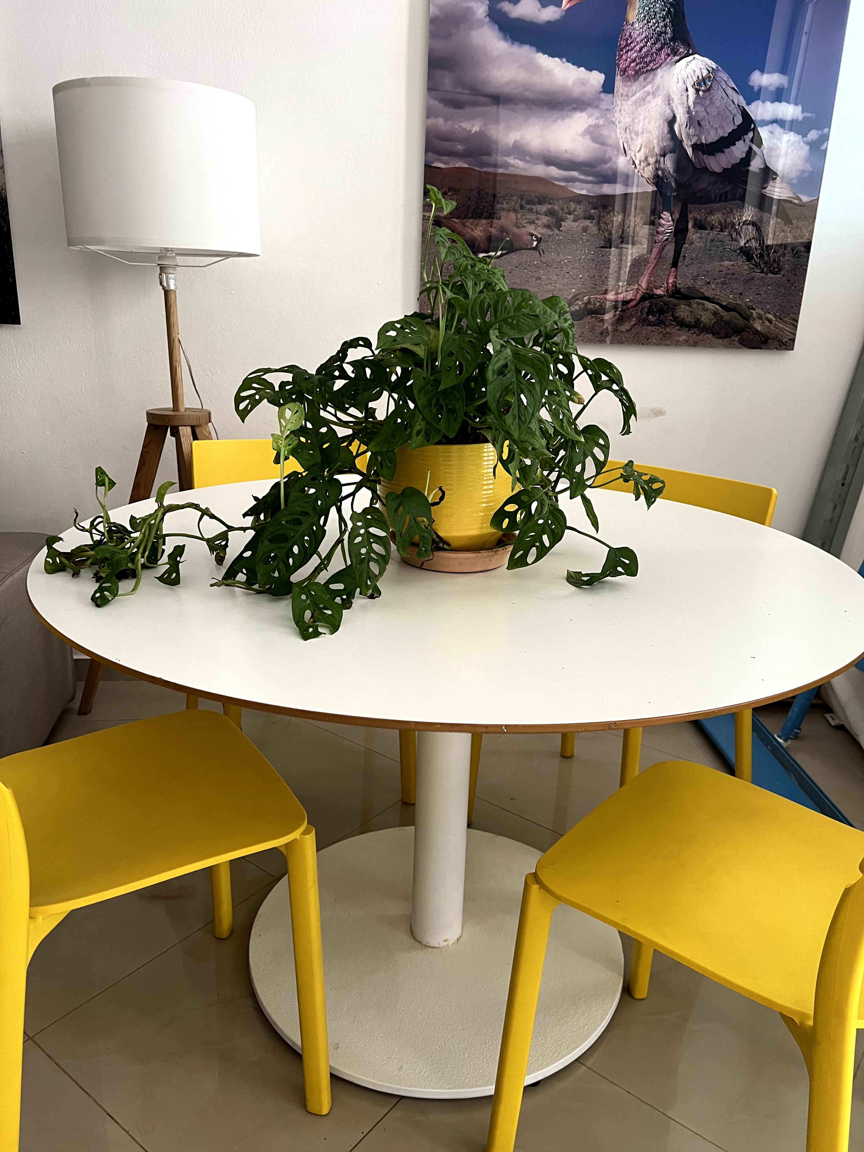 muebles y colchones - comedor moderno 0
