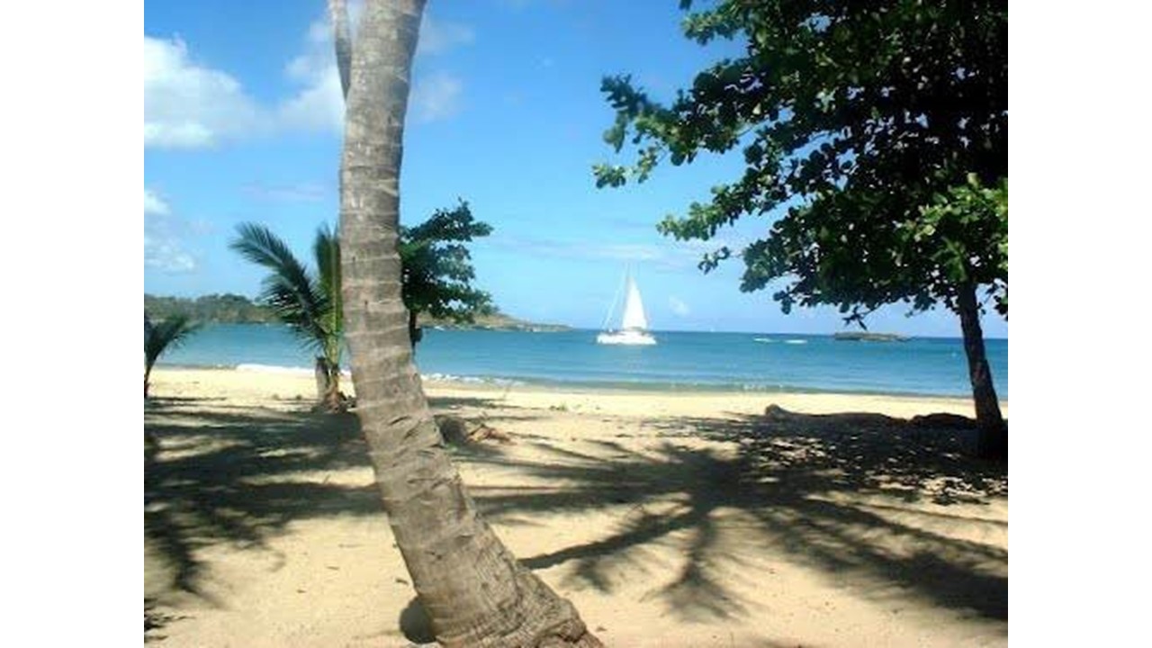solares y terrenos - Venta de Terreno 1a Linea de Playa - Puerto Plata 1
