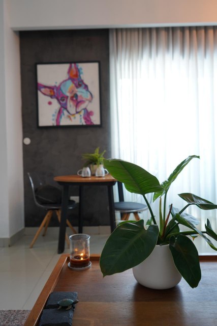 apartamentos - Apartamento amueblado evaristo 1