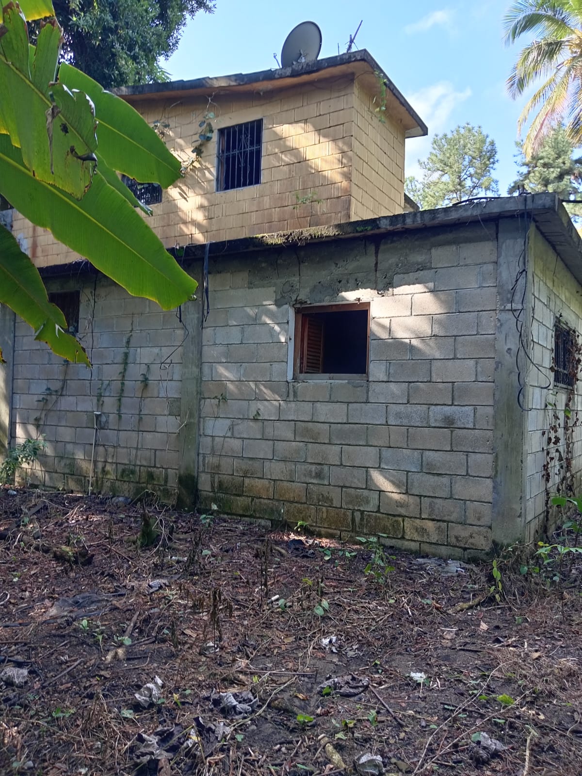 solares y terrenos - Vendo finca en Pedro brand kilómetro 24  7