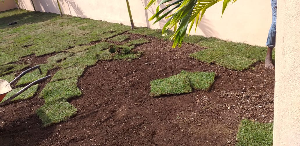 herramientas, jardines y exterior - Grmas Dominicanas