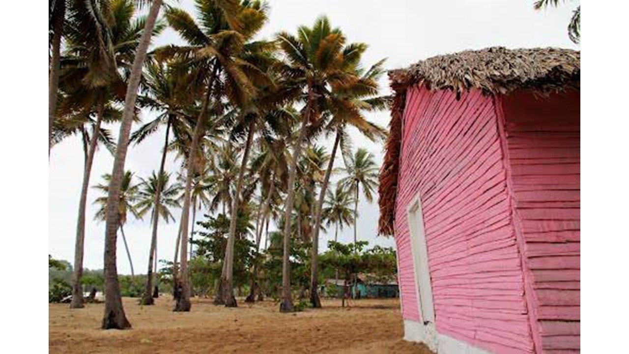 solares y terrenos - Venta de Terreno 1a Linea de Playa - Puerto Plata 3