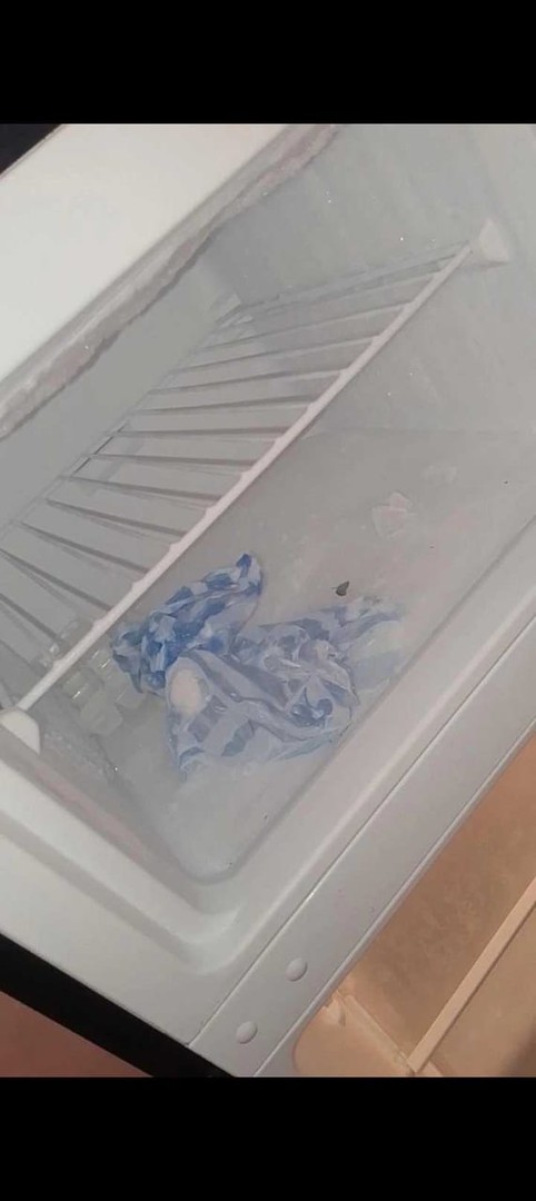 electrodomesticos - Vendo nevera nedoca 13000 0