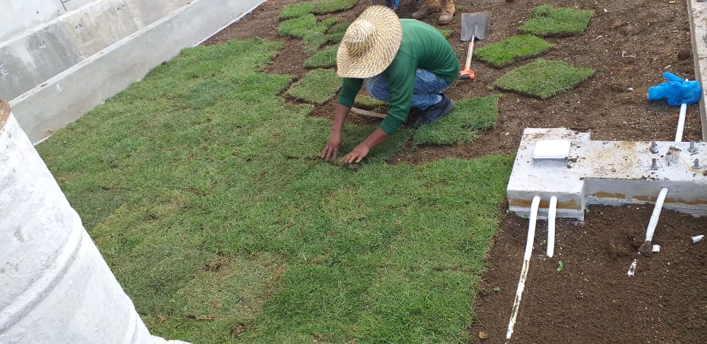 herramientas, jardines y exterior - Grmas Dominicanas 1