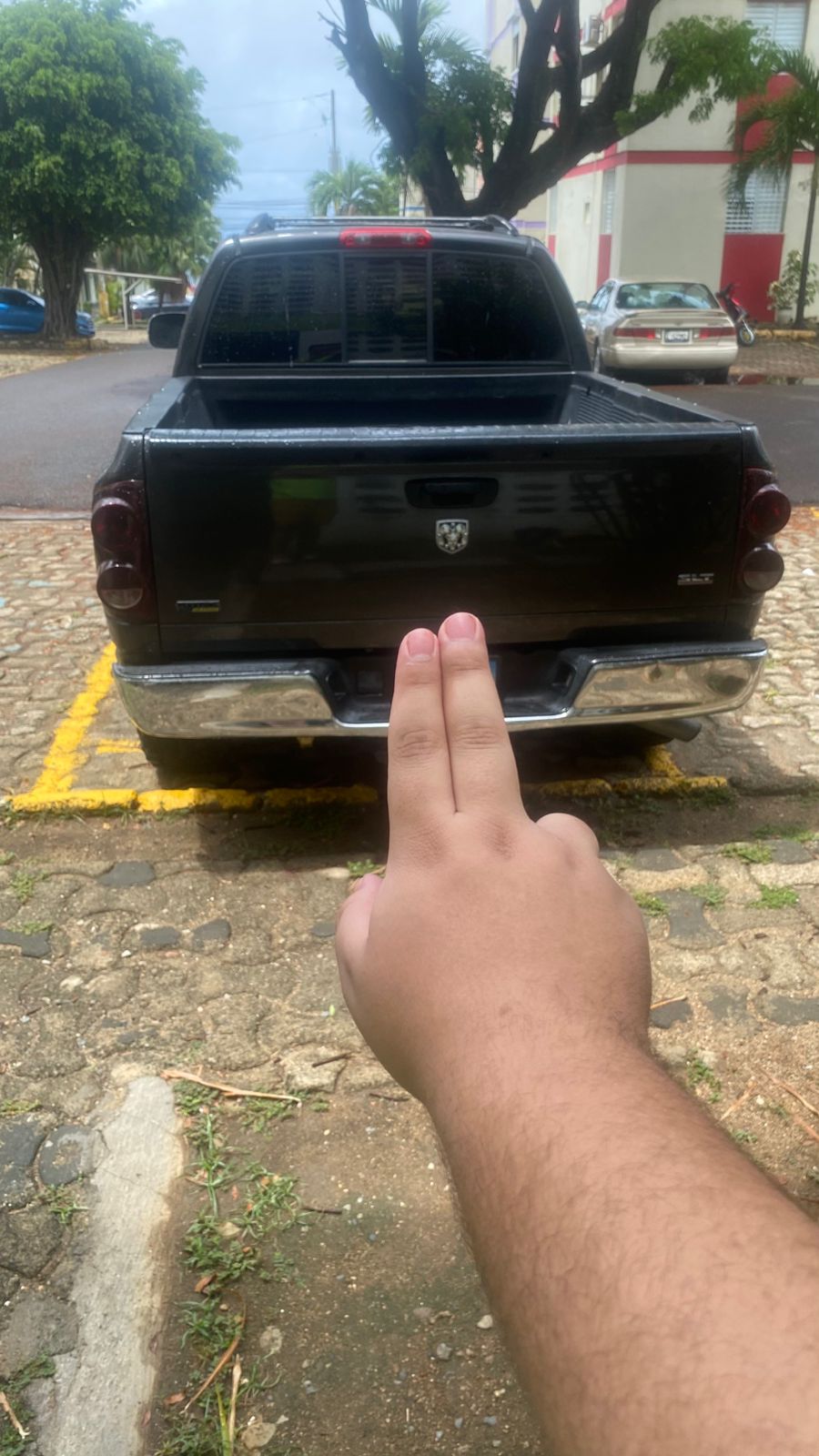 jeepetas y camionetas - DODGE RAM 1500 2007 6